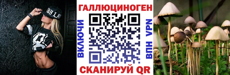 Галлюциногенные грибы GOLDEN TEACHER  сколько стоит  Камышин 